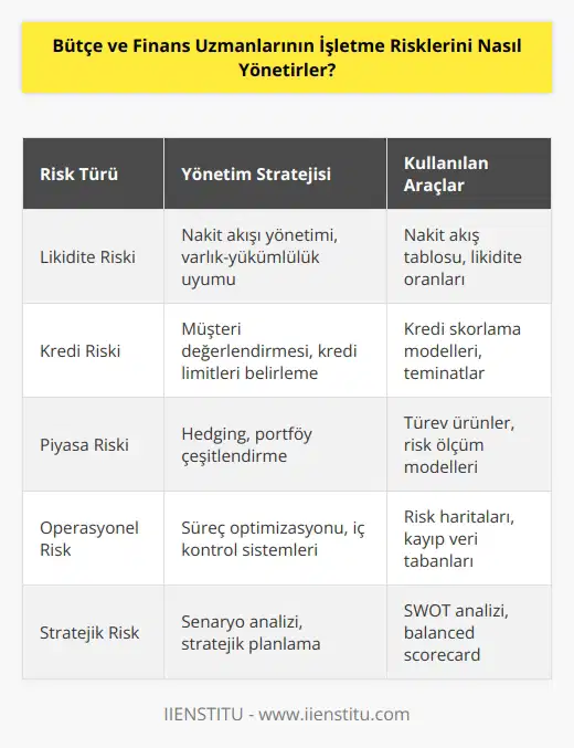 Bütçe ve finans uzmanları, işletme risklerini yönetmek için çeşitli stratejiler ve teknikler kullanır. Bunlar arasında, öz kaynaklarının etkin bir şekilde yönetilmesi, gelecekteki olasılıkların öngörülmesi, işletmeyi etkileyebilecek risklerin tespiti ve önlenmesi, risklerin yönetilmesi için çeşitli kaynakların kullanılması ve mali kaynakların etkin bir şekilde yönetilmesi sayılabilir. Bütçe ve finans uzmanları ayrıca, çeşitli finansal araçların ve risk yönetim tekniklerinin kullanılmasını da önerir. Bunlar arasında, fiyatlar ve maliyetlerin ölçümü, kredi riski, spekülasyon, tahvil ve opsiyonlar, mevduat ve vadeli işlemler, kapsamlı bütçe ve finansal planlama, kur riski yönetimi, çeşitli emtia ve varlık tipleri üzerinden korunma stratejisi, sigorta ve reasürans gibi sayılabilir.