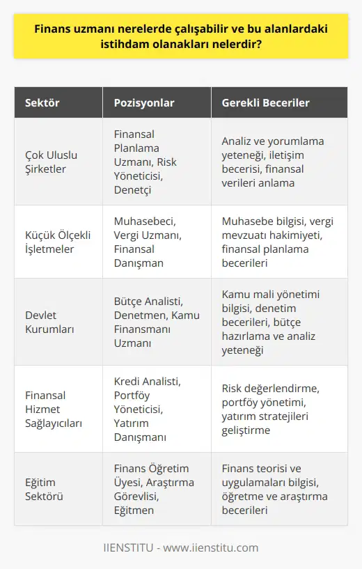 Finans uzmanları, geniş bir    yelpazesi sunan bir dizi farklı sektör ve iş rolünde çalışabilirler. Finansal planlama ve analiz, risk yönetimi, denetim, vergi ve muhasebe gibi çeşitli uzmanlık alanlarından yeni iş fırsatları çıkarabilirler. Bunlar, çok sayıda farklı işveren tarafından aranılan önemli yeteneklerdir ve finans uzmanlarının bir kuruluşun çeşitli bölümlerinde ve yüksek düzey rollerinde iş bulma ihtimallerini artırır.  Bir finans uzmanının iş bulabileceği yerler arasında büyük çokuluslu şirketler, küçük ölçekli işletmeler, devlet kurumları ve finansal hizmet sağlayıcıları bulunur.   lık veren özel şirketler de bu uzmanları işe alabilir. Kendi işlerini kurmayı tercih eden finans uzmanları, serbest danışman ya da yatırımcı olarak çalışabilirler.  Finans uzmanlarının diğer  olanakları arasında kamuya açık ve özel eğitim sektöründe    da vardır. Üniversiteler ve diğer yüksek öğrenim müesseseleri, finans teorisi ve uygulamaları hakkında bilgi ve deneyime sahip bireyler için genellikle döner kadro ve part-time pozisyonlar sunarlar.  İstihdam olanakları, finans uzmanının deneyimine, eğitimine, beceri setine ve ülke veya bölgenin ekonomik durumuna bağlıdır. Genel olarak, finans uzmanlarının iş bulma olasılıkları oldukça yüksektir. Analiz ve yorumlama yeteneği,    becerisi ve karmaşık finansal verileri anlama yeteneği gibi yetenekler, günümüz dünyasında her sektör ve iş çevresinde büyük değere sahip olmuştur.