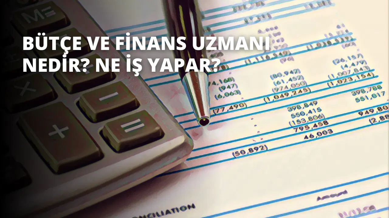 Bütçe ve Finans Uzmanı Nedir? Ne İş Yapar?