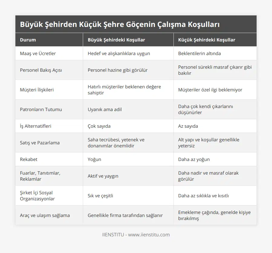 Maaş ve Ücretler, Hedef ve alışkanlıklara uygun, Beklentilerin altında, Personel Bakış Açısı, Personel hazine gibi görülür, Personel sürekli masraf çıkarır gibi bakılır, Müşteri İlişkileri, Hatırlı müşteriler beklenen değere sahiptir, Müşteriler özel ilgi beklemiyor, Patronların Tutumu, Uyanık ama adil, Daha çok kendi çıkarlarını düşünürler, İş Alternatifleri, Çok sayıda, Az sayıda, Satış ve Pazarlama, Saha tecrübesi, yetenek ve donanımlar önemlidir, Alt yapı ve koşullar genellikle yetersiz, Rekabet, Yoğun, Daha az yoğun, Fuarlar, Tanıtımlar, Reklamlar, Aktif ve yaygın, Daha nadir ve masraf olarak görülür, Şirket İçi Sosyal Organizasyonlar, Sık ve çeşitli, Daha az sıklıkla ve kısıtlı, Araç ve ulaşım sağlama, Genellikle firma tarafından sağlanır, Emekleme çağında, genelde kişiye bırakılmış