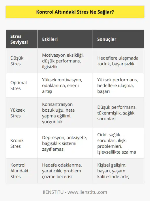 Stres kontrolü önemlidir. Kontrol altındaki stres kişiyi harekete geçirip başarıya götürür. Bizim isteğimiz kontrol dışı stresi kontrol altına alabilmek.