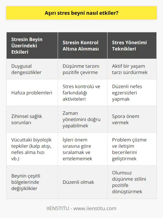 Aşırı stres, beyin üzerinde önemli bir etkiye sahiptir. Beyin, stresin biyolojik etkilerine tepki veren ana organlardan biridir ve bu etkiler bir dizi fonksyonu etkileyebilir. Kalbin daha hızlı çarpması, nefes almanın hızlanması, terleme ve tükürük salgısının artması gibi vücuttaki biyolojik tepkiler, beyin tarafından tetiklenir. Ayrıca, aşırı stres, beynin çeşitli bölgelerinde değişikliklere yol açabilir ve bunlar da duygusal dengesizliklere, hafıza problemlerine, zihinsel sağlık sorunlarına ve diğer önemli sorunlara yol açabilir.  Bununla birlikte, aşırı stres kontrol altına alındığında, kişiye hedeflerine ulaşmak için motivasyon sağlar. Ancak bu isteğin gerçekleşebilmesi için düşünme tarzının, çocukluk yıllarından itibaren öğrendiğimiz olumsuz düşünme tarzından pozitife çevrilmesi gerekmektedir. Bunun için stres kontrolü ve farkındalığına yönelik çeşitli aktiviteler aracılığıyla stres kontrolü karşılaştırmalı olarak daha kolay bir duruma gelebilir.  Örneğin, aktif bir yaşam tarzı tutturmak, düzgün nefes egzersizleri yapmak, spora önem vermek stresin fizyolojik olarak azalmasına yardımcı olurken, ayrıca zaman yönetimini doğru yapabilmek, işleri önem sırasına göre sıralamak, düzenli olmak ve işleri ertelememek de bunu gerektirir.   Ek olarak, problem çözme ve iletişim becerilerini geliştirmek, stres kontrolünde de etkili olabilir. Problemlerle başa çıkmak ve uygun çözümler bulmak, stresle mücadelenin bir parçasıdır. İyi bir iletişim becerisi, hem sözlü hem de bedensel, stresle başa çıkma tekniklerini güçlendirir.   Sonuç olarak, aşırı stres, beynin iç devrelerini ve vücut üzerinde ciddi etkileri olabilir. Ancak, etkili stres yönetim teknikleri ve olumsuz düşünme stilini pozitife döndürme yeteneği aracılığıyla, bu durumların birçoğu kontrol altına alınabilir ve düzeltilebilir.