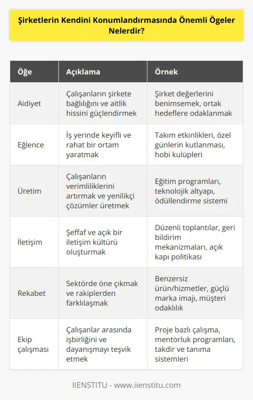 Aidiyet, Eğlence, Üretim, İletişim, Rekabet ve ekip çalışması şirketlerin kendilerini konumlandırmalarında önemli ögelerdir.