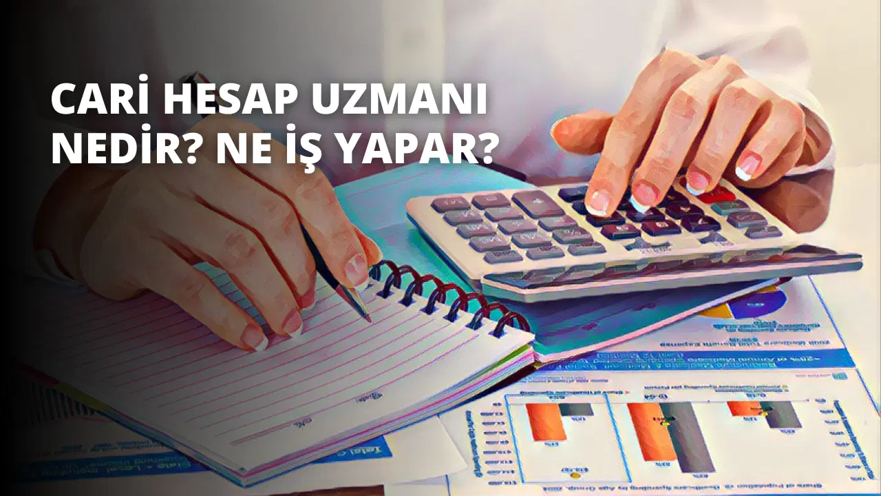 Cari Hesap Uzmanı Nedir? Ne İş Yapar?