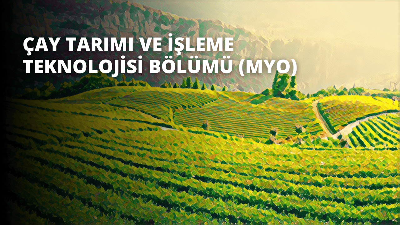 Çay Tarımı ve İşleme Teknolojisi Bölümü (MYO)