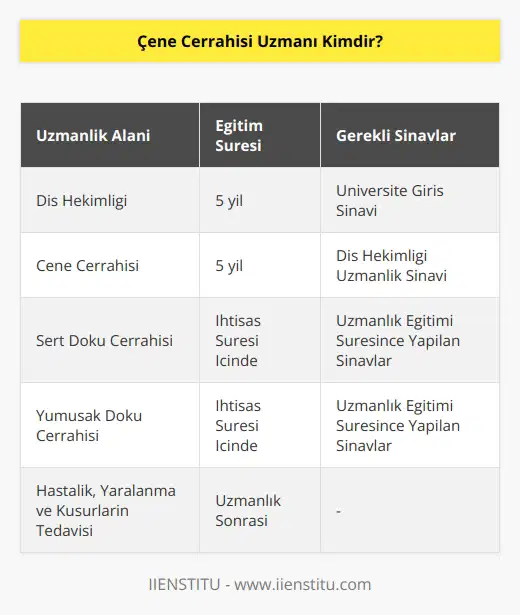 Çene cerrahisi uzmanı, hastalık, yaralanma ya da kusurları tedavi etmek için çene bölgesinin sert ve yumuşak dokularında cerrahi işlemler gerçekleştiren kişilerdir. Çene cerrahisi uzmanı olmak isteyen kişiler ilk olarak üniversitelerin beş yıllık eğitim veren diş hekimliği fakültelerinden lisans derecesi ile mezun olmaları gerekir. Ardından Diş Hekimliği Uzmanlık Sınavına katılarak, başarılı olmaları ve beş yıllık çene cerrahisi alanında ihtisaslarını tamamlamaları gerekir.