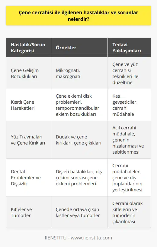 Çene cerrahisi ile ilgilenen hastalıklar ve sorunlar oldukça çeşitlidir ve genellikle aşağıdaki başlıklar altında kategorize edilebilir.  **Çene Gelişim Bozuklukları**  Çene gelişim bozuklukları, doğuştan gelen veya yaşamı boyunca edinilen sorunlardan kaynaklanabilir. Örneğin, mikrognati ve makrognati, doğumsal çene büyüme ve gelişme bozukluklarının iyi bilinen örneklerindendir. Bu tür durumlar, düzgün bir ısırıklık sağlamak için çene ve yüz cerrahisi tekniklerinin uygulanmasıyla ele alınabilir.  **Kısıtlı Çene Hareketleri**  Sınırlı çene hareketleri, eklem veya çene kaslarının zayıflığa bağlı olarak çenenin gerektiği gibi hareket etmemesine neden olabilir. Bu tür problemler, çene eklemi disk problemleri, temporomandibular eklem bozuklukları ve kas gevşeticilerle yönetilebilir.  **Yüz Travmaları ve Çene Kırıkları**  Yüz travmaları, dudak ve çene kırıklarına ve çene çıkıklarına neden olabilir. Bu tür yaralanmalar, acil cerrahi müdahale gerektirebilecek ciddiyettedir. Cerrahi yöntemlerle çenenin uygun şekilde hizalanması ve sabitlenmesi sağlanır.  **Dental Problemler ve Dişsizlik**  Çene ve yüz cerrahisinin önemli bir alanı, uygun diş ve çene uyumunun sağlanmasıdır. Bu amaca yönelik cerrahi müdahaleler, diş eti hastalıkları, diş çekimi sonrası çene eklemi problemleri ve dişsizlik durumlarında gerçekleştirilir. Ayrıca, çene ve diş implantlarının yerleştirilmesi için de cerrahi yöntemler uygulanır.  **Kitleler ve Tümörler**  Çenede ortaya çıkan kitleler, hastanın genel sağlığı üzerine ciddi etkileri olan tümörler veya kistler olabilir. Çoğu durumda, doktorlar bu tür kitleleri ve tümörleri cerrahi olarak çıkarmayı tercih ederler. Çene ve yüz cerrahisi bu amaçla başvurulan yöntemlerden biridir.  Sonuç olarak, çene cerrahisi ile ilgili hastalıklar ve sorunlar çoğunlukla çene ve yüz bölgesindeki yapısal ve işlevsel problemlerle ilgilidir. Bu problemler; doğumsal gelişim bozuklukları, hareket kısıtlılığı, yüz travmaları, dental problemler ve çenedeki kitleler olarak sıralanabilir. Bu tür durumların ele alınması, hastaların yaşam kalitesinin artırılması ve işlevsel beklentilerin karşılanması açısından büyük önem taşımaktadır.