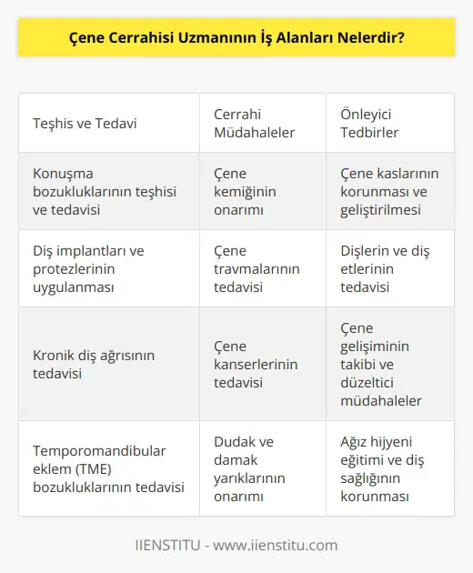 Çene Cerrahisi Uzmanının iş alanları arasında; konuşma bozukluklarının teşhisi ve tedavisi, çene kemiğinin onarımı, çene kaslarının korunması ve geliştirilmesi, çene travmalarının tedavisi, diş implantları ve protezlerinin uygulanması, dişlerin ve diş etlerinin tedavisi, kronik diş ağrısının tedavisi, çene çocuklarının tedavisi ve çene kanserlerinin tedavisi gibi alanlara girer.