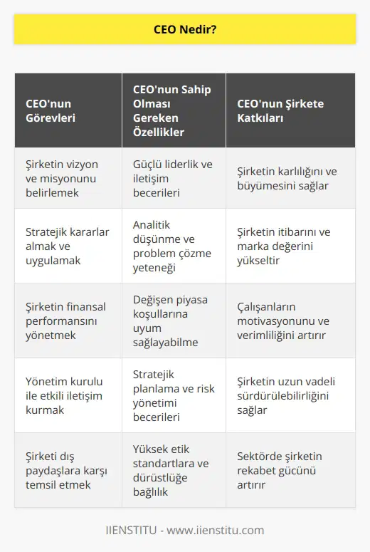 CEO; bir kuruluşun eldeki kaynaklarını en verimli şekilde kullanan, planlayan ve yürüten aynı zamanda karlılığını sağlayan, kuruluşun itibarını yükselten, kuruluşu konumlandıran tüm başarı ve lardan ilk sorumlu olan kişidir.