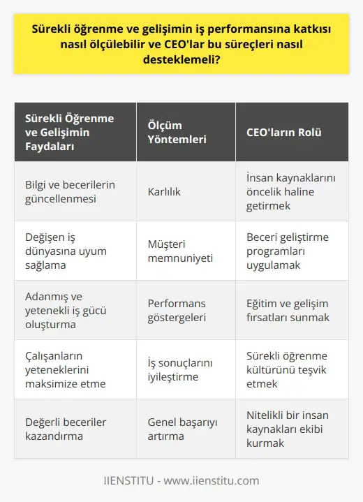 Sürekli Öğrenme ve Gelişimin İş Performansına Katkısı  Sürekli öğrenme ve gelişim, iş performansına önemli bir katkı sunar. Bu, çalışanların sahip olduğu bilgi ve becerilerin güncellenmesini sağlar, hızla değişen iş dünyası ile uyum sağlarlar. Bu sağlandığında, adanmış ve yetenekli bir iş gücü oluştuğunu görürüz. Bu durum, şirketlerin karlılık, müşteri memnuniyeti ve çeşitli performans göstergeleri üzerinden ölçülebilir.  CEOların İnsan Kaynaklarına Destek Rolü  CEOlar bu süreci, insan kaynakları yönetimini bir öncelik olarak görerek ve stratejik olarak sürekli öğrenme ve gelişimi destekleyerek sürdürebilirler. Örneğin, beceri geliştirme programlarının uygulanması, eğitim ve gelişim fırsatlarının sunulması, sürekli öğrenme kültürünün teşvik edilmesi ve nitelikli bir insan kaynakları ekibinin kurulması gibi yollarla CEOlar sürekli öğrenme ve gelişimi destekleyebilirler.  İnsan Kaynakları Hizmetlerinin Yaratıcılığı  İnsan kaynakları hizmetlerinin yaratıcı olabilmesi için, liderlerin hayal gücüne ve özgün düşüncelere açık olmaları gerekmektedir. Bu, çalışanların yeteneklerini ve gelişimlerini maksimize etmek için yeni ve yenilikçi stratejiler geliştirmelerini sağlar. Ayrıca, iş sonuçlarını iyileştirmek için insan kaynakları becerilerinin etkin bir şekilde kullanılmasını da teşvik eder.  Sonuç olarak, sürekli öğrenme ve gelişim, iş performansını artırmada kritik bir role sahiptir. CEOlar bu süreçte, insan kaynakları yönetiminin merkezinde olmalı ve sürekli öğrenme ve gelişimi aktif olarak desteklemelidirler. Bu, işin genel başarısını artırırken, çalışanlara da değerli beceriler kazandırır.