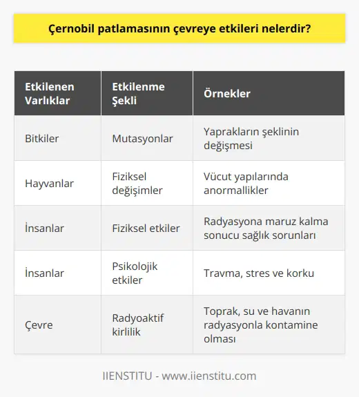 Çernobil nükleer santralinin dördüncü reaktöründe meydana gelen patlama sonrasında bitki ve hayvanlarda mutasyonlar görüldü. Örneğin, bitkilerin yapraklarının şekli değişti ve kimi hayvanlar fiziksel değişim geçirdi. Bitki ve hayvanların dışında Çernobil Faciası elbette insanlara da fiziksel ya da psikolojik olarak etki etti.