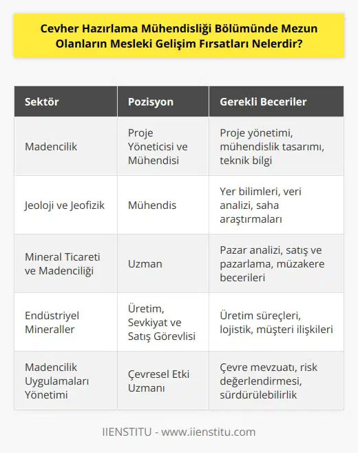1. Madencilik sektöründe proje yöneticiliği ve mühendisliği 2. Jeoloji ve jeofizik alanlarında çalışan mühendisler 3. Mineral ticareti ve mineral madenciliği alanında çalışan uzmanlar 4. İşletme sahibi veya    5. Endüstriyel minerallerde üretim, sevkiyat ve satış görevleri 6. Çevresel etkileri azaltmak için madencilik uygulamaları yönetimine ilişkin deneyim 7. Yönetim ve kontrol teknolojileri konusunda uzman 8. Teknik ürün ve hizmetlerde danışmanlık 9. Maden işletmelerinin verimliliğini iyileştirmek için mühendislik çözümleri sunmak 10. Laboratuar analizleri ve testleri için teknik uzman
