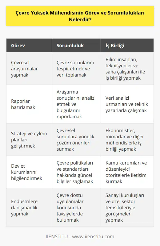 Çevre yüksek mühendisi, çevresel araştırmalar yapmaktan sorumlu uzman kişilerdir. Raporlar hazırlayarak strateji ve eylem planları geliştirir, çevre ile ilgili planları çözmek üzere;   , ekonomist, mimar ve mühendislerle takım çalışması içinde olurlar. Çevre politikaları ve standartları ile alakalı devlet kurumlarını ve endüstrileri bilgilendirmekten sorumludurlar.