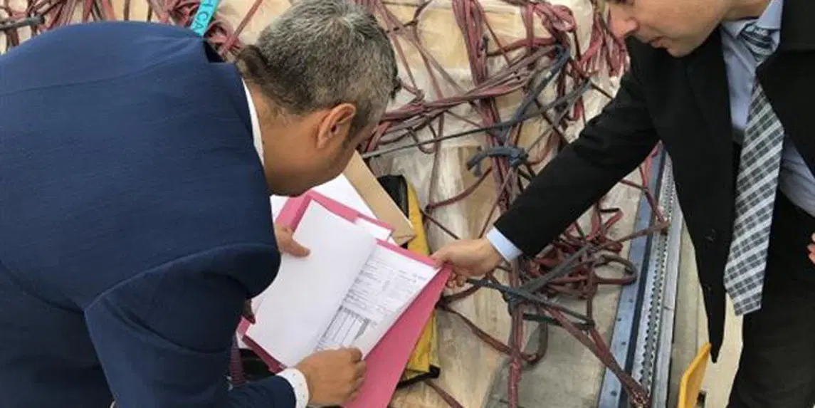 Çingene Kızı'nın Anavatana Dönüşü