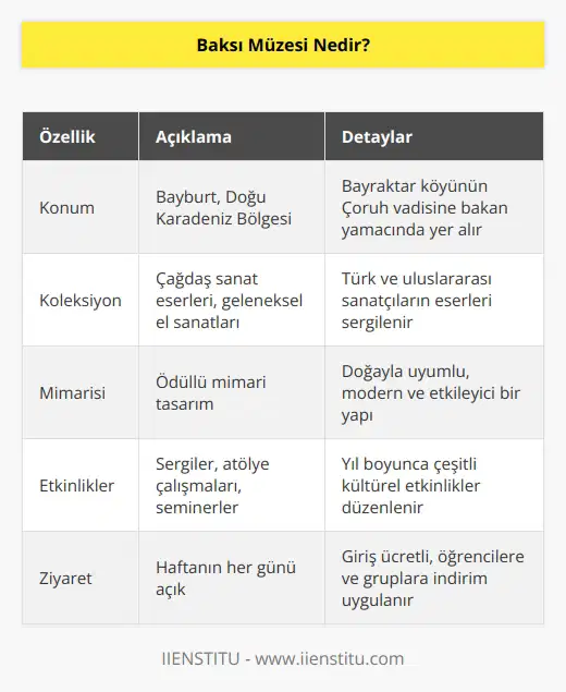 Baksı Müzesi, Doğu Karadeniz Bölgesinde bulunan Bayburt sınırlarında yer alan müzedir. Bayraktar köyünün Çoruh vadisine bakan yamacında ziyaretçilerini bekliyor.