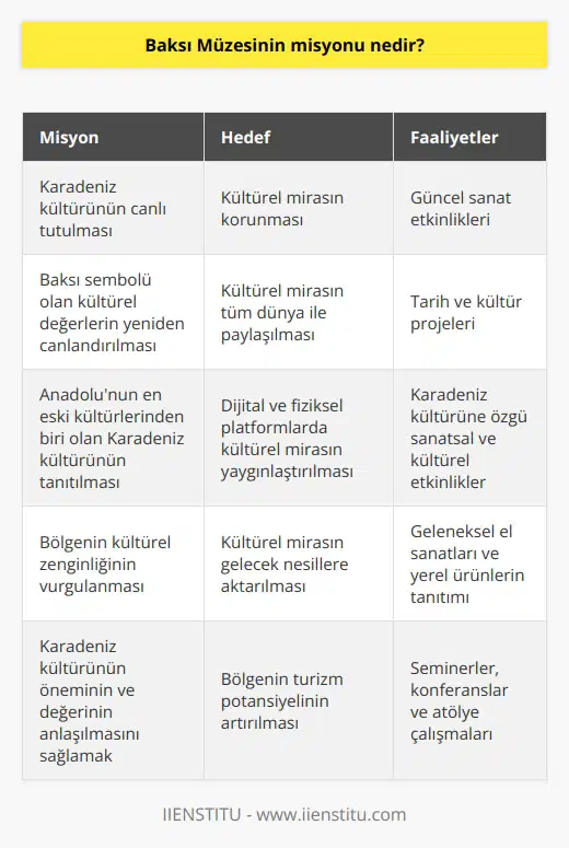 Baksı Müzesi, Anadolunun en eski kültürlerinden olan Karadeniz kültürünün ve Baksı sembolü olan kültürel değerlerin canlı tutulmasını ve yeniden canlandırılmasını amaçlamaktadır. Müze, dijital ve fiziksel platformlardaki güncel sanat, tarih, kültür faaliyetleri ve projeler aracılığıyla Karadeniz kültürel mirasının korunmasına ve tüm dünya ile paylaşılmasına katkıda bulunmayı hedeflemektedir.