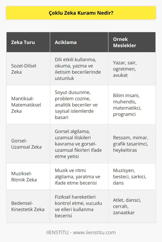 Gelişim psikoloğu olan Howard Gardner 1983 yılında “Çoklu Zeka” adında bir kuram geliştirdi. Gardner zekanın çok yönlü olduğunu ve 8 farklı türde incelenmesi gerektiğini söyledi. Kuram bu yönüyle de    testlerinin kişinin zeka seviyesini ölçmekte yetersiz olduğunu söylemekte.
