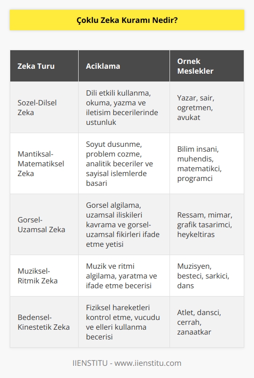 Gelişim psikoloğu olan Howard Gardner 1983 yılında “Çoklu Zeka” adında bir kuram geliştirdi. Gardner zekanın çok yönlü olduğunu ve 8 farklı türde incelenmesi gerektiğini söyledi. Kuram bu yönüyle de testlerinin kişinin zeka seviyesini ölçmekte yetersiz olduğunu söylemekte.