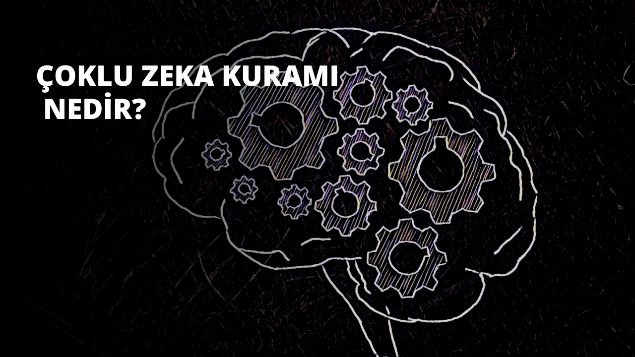 Çoklu Zeka Kuramı Nedir?