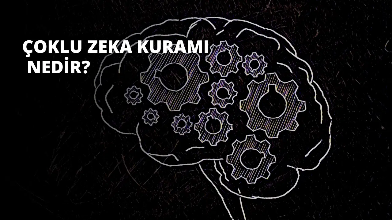 Çoklu Zeka Kuramı Nedir?