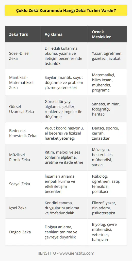 Çoklu Zekâ Kuramında 8 temel zekâ türü vardır: Verbal-Yazınsal Zekâ, İlgili-Düşünsel Zekâ, Pratik-Uygulamalı Zekâ, Estetik-Bilimsel Zekâ, Duygusal Zekâ, Sosyal Zekâ, Çözüm Odaklı Zekâ ve Stratejik Zekâ.
