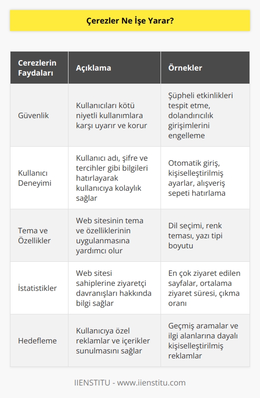 Kullanıcılarını kötü niyetli kullanımlara karşı uyarırlar. Bir web sitesine girdiğinizde eski işlemlerinizi hatırlamak ve kullanıcı adı vb. bilgilerinizi de hatırlayarak size kolaylık sağlar. Aynı zamanda teme ve özelliklerinin uygulanması konusunda işe yarar.
