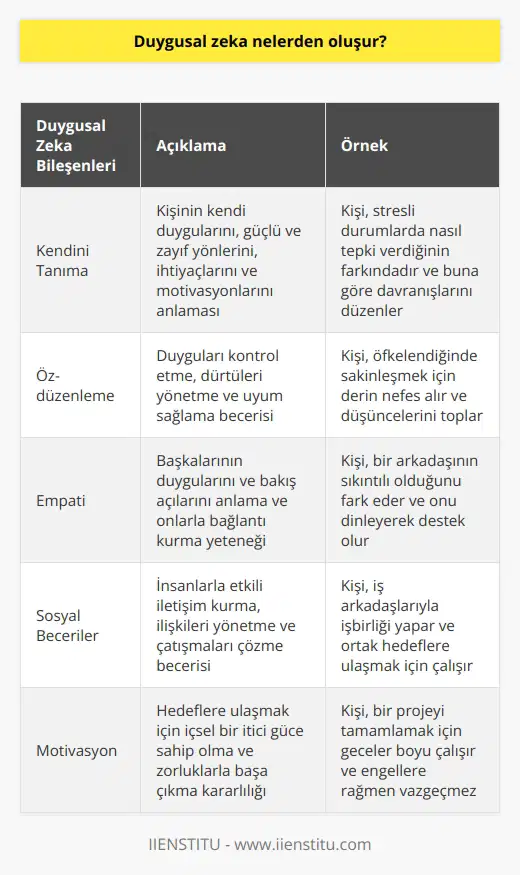 Duygusal zeka, kendini ve başkalarını anlamaya, buna göre davranmaya ve duyguları yönetmeye yönelik kişisel becerileri kapsar. Bu beceriler arasında kendine güven, empati, sosyal bağlantılar ve problem çözme becerileri yer alır.
