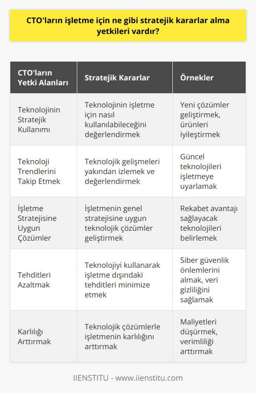 CTOlar teknolojinin stratejik yönden nasıl kullanılabileceğini değerlendirerek işletme için    alma yetkisine sahiptir. CTOlar, teknolojiyi yeni çözümler geliştirmek, yeni ürünler çıkarmak veya mevcut ürünleri iyileştirmek için kullanmak, teknolojiyi yakından izlemek ve izlemek ve işletme stratejisine uygun teknolojik çözümler geliştirmek için kullanmak, teknolojiyi kullanarak işletme dışındaki tehditleri azaltmak ve işletme için karlılığı arttırmak gibi konularda  almak için yetkilendirilmiştir.