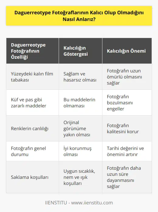 Daguerreotype fotoğraflarının kalıcı olup olmadığını anlamak için, fotoğrafın yüzeyindeki kalın film tabakasının durumuna ve fotoğrafın üzerinde oluşmuş küf ve pas gibi zararlı maddelerin varlığına bakılır. Bunların olmaması, fotoğrafın kalıcı ve dayanıklı olduğunu gösterir. Ayrıca, fotoğrafın renklerinin açık kalması ve orijinal görünümüne yakın olması da fotoğrafın kalıcı olduğunun bir işaretidir.