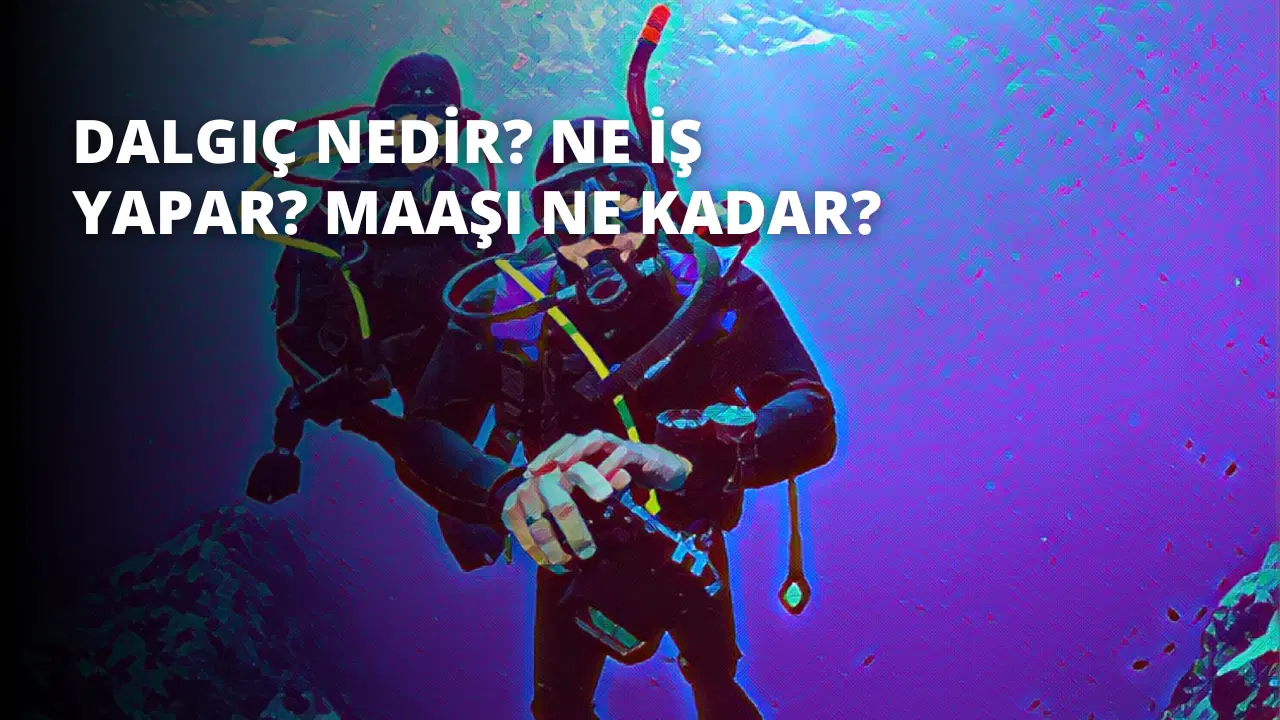 Dalgıç Nedir? Ne İş Yapar? Maaşı Ne Kadar?