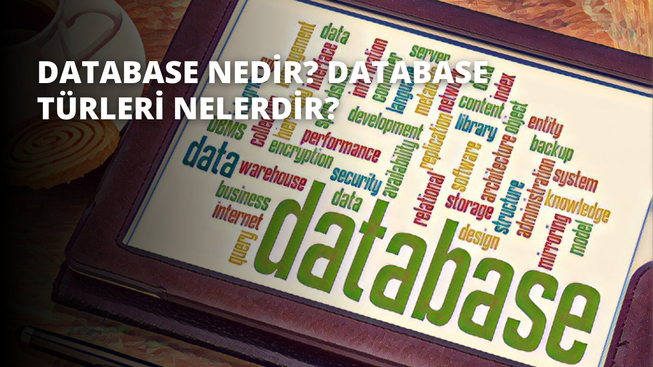 Database Nedir? Database Türleri Nelerdir?