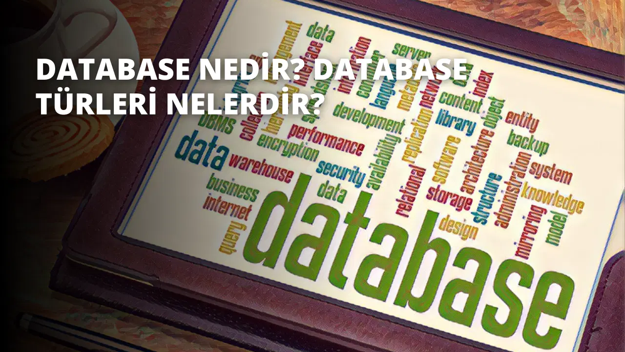 Database Nedir? Database Türleri Nelerdir?