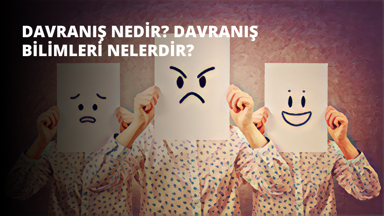 Davranış Nedir? Davranış Bilimleri Nelerdir?