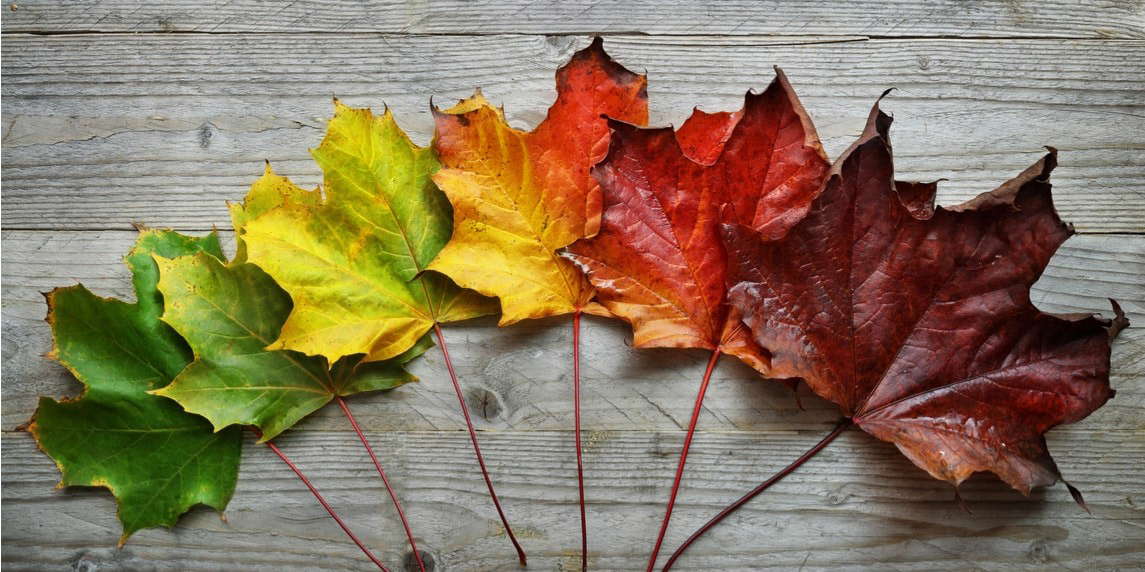 Değişim Yönetimi İçin 8 Aşama