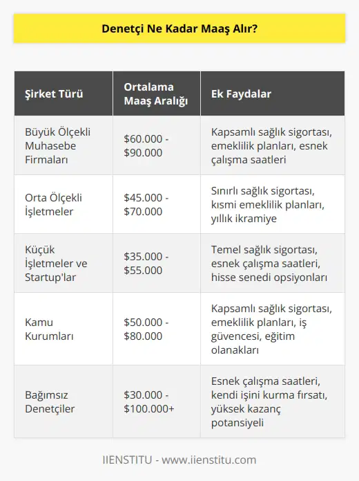 Denetçi maaşları her şirkete göre farklılık gösterir. Bazı şirketler bir denetçiyi ortalama 40.000$ ile 75.000$ arasında bir maaşla ödemektedir.