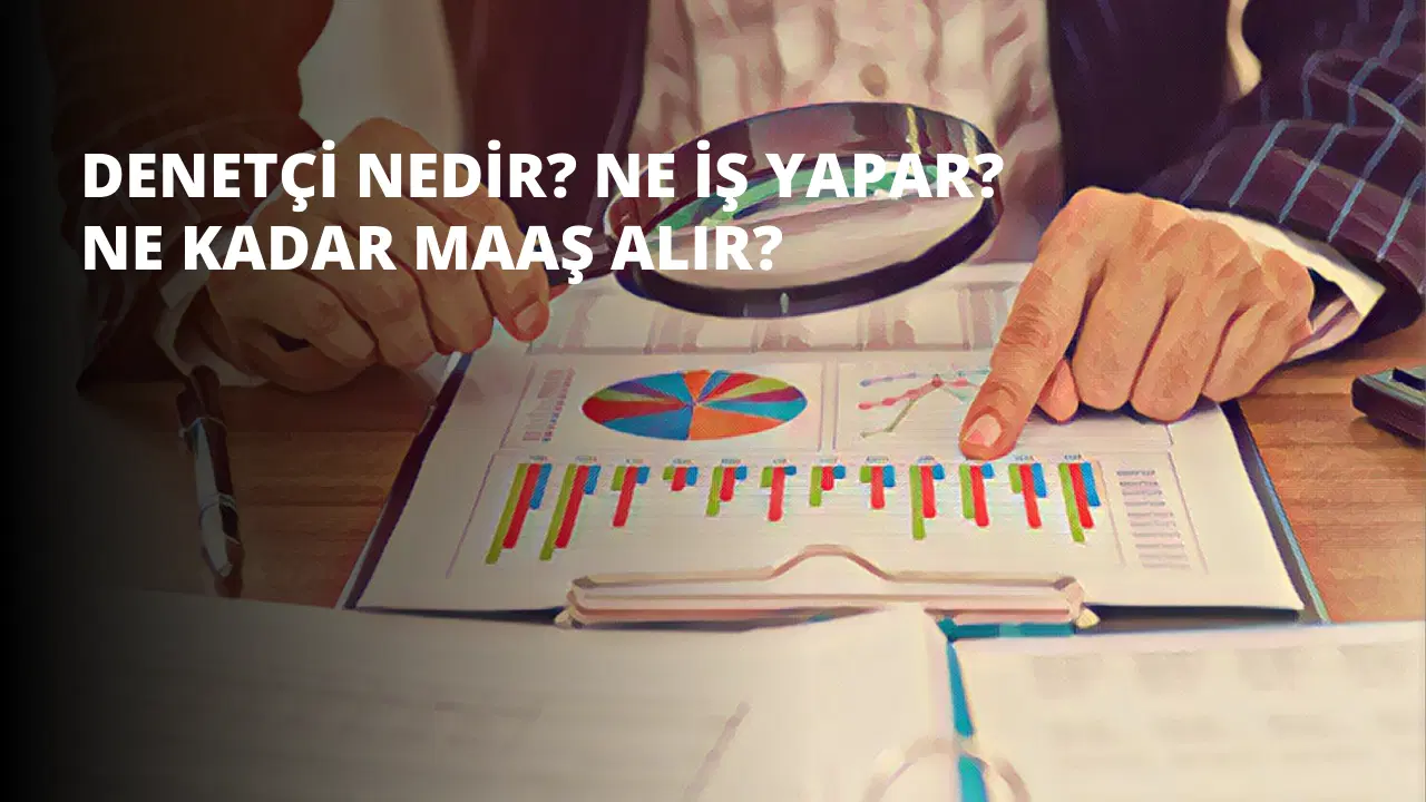 Denetçi Nedir? Ne İş Yapar? Ne Kadar Maaş Alır?