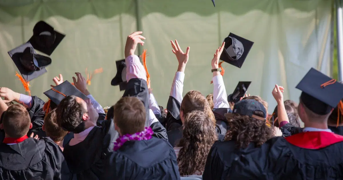 Deneyimsiz Mezun Ne Yapmalı?