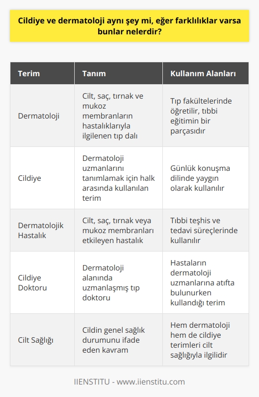 Cildiye ve dermatoloji terimleri genellikle birbirinin yerine kullanılsa da, teknik anlamda aynı şeyi ifade etmezler. Dermatoloji, cilt, saç, tırnak ve mukoz membranların hastalıklarıyla ilgilenen tıp dalıdır ve tıbbi eğitimin bir parçası olarak tıp fakültelerinde öğretilir. Diğer taraftan, cildiye kelimesi genellikle dermatoloji uzmanlarını tanımlamak için halk arasında kullanılır. Bu, dilde doğal bir ivme ve popüler kullanımdan doğan bir durumdur.  Uygulamada, cildiye ve dermatoloji arasındaki farklılık, genellikle terimlerin kullanıldığı kontekste dayanır. Örneğin, bir kişi genellikle cildiye hastalığına değil, dermatolojik bir hastalığa sahip olduğunu söyleyecektir. Ancak bir dermatologa atıfta bulunurken, cildiye doktoru ifadesi kullanılır. Bu da kelimenin dönemsel veya kültürel etkilerle gelişebileceğini göstermektedir. Sonuç olarak, hem cildiye hem de dermatoloji, cilt sağlığını ve bu alanda çalışan uzmanları ifade etmek için kullanılan terimlerdir. Ancak, dilin doğası gereği, terimlerin kullanıldığı biçim ve bağlam, onların taşıdığı anlamları belirler. Bu nedenle, cildiye ve dermatoloji teknik anlamda aynı olsa da, kullanıldıkları bağlama göre değişik anlamlar taşıyabilirler. Bu da onların dili zenginleştiren ve farklılaştıran faktörlerden biridir.