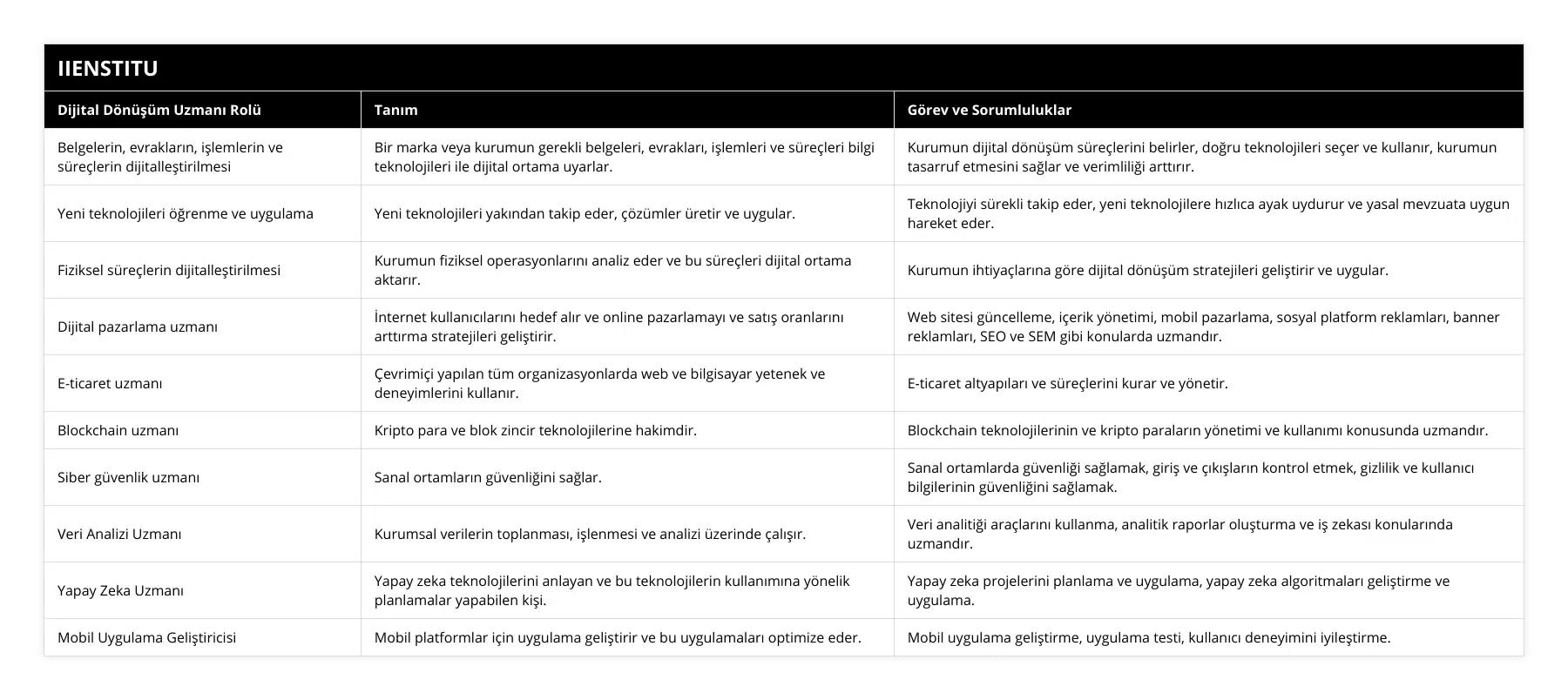 Belgelerin, evrakların, işlemlerin ve süreçlerin dijitalleştirilmesi, Bir marka veya kurumun gerekli belgeleri, evrakları, işlemleri ve süreçleri bilgi teknolojileri ile dijital ortama uyarlar, Kurumun dijital dönüşüm süreçlerini belirler, doğru teknolojileri seçer ve kullanır, kurumun tasarruf etmesini sağlar ve verimliliği arttırır, Yeni teknolojileri öğrenme ve uygulama, Yeni teknolojileri yakından takip eder, çözümler üretir ve uygular, Teknolojiyi sürekli takip eder, yeni teknolojilere hızlıca ayak uydurur ve yasal mevzuata uygun hareket eder, Fiziksel süreçlerin dijitalleştirilmesi, Kurumun fiziksel operasyonlarını analiz eder ve bu süreçleri dijital ortama aktarır, Kurumun ihtiyaçlarına göre dijital dönüşüm stratejileri geliştirir ve uygular, Dijital pazarlama uzmanı, İnternet kullanıcılarını hedef alır ve online pazarlamayı ve satış oranlarını arttırma stratejileri geliştirir, Web sitesi güncelleme, içerik yönetimi, mobil pazarlama, sosyal platform reklamları, banner reklamları, SEO ve SEM gibi konularda uzmandır, E-ticaret uzmanı, Çevrimiçi yapılan tüm organizasyonlarda web ve bilgisayar yetenek ve deneyimlerini kullanır, E-ticaret altyapıları ve süreçlerini kurar ve yönetir, Blockchain uzmanı, Kripto para ve blok zincir teknolojilerine hakimdir, Blockchain teknolojilerinin ve kripto paraların yönetimi ve kullanımı konusunda uzmandır, Siber güvenlik uzmanı, Sanal ortamların güvenliğini sağlar, Sanal ortamlarda güvenliği sağlamak, giriş ve çıkışların kontrol etmek, gizlilik ve kullanıcı bilgilerinin güvenliğini sağlamak, Veri Analizi Uzmanı, Kurumsal verilerin toplanması, işlenmesi ve analizi üzerinde çalışır, Veri analitiği araçlarını kullanma, analitik raporlar oluşturma ve iş zekası konularında uzmandır, Yapay Zeka Uzmanı, Yapay zeka teknolojilerini anlayan ve bu teknolojilerin kullanımına yönelik planlamalar yapabilen kişi, Yapay zeka projelerini planlama ve uygulama, yapay zeka algoritmaları geliştirme ve uygulama, Mobil Uygulama Geliştiricisi, Mobil platformlar için uygulama geliştirir ve bu uygulamaları optimize eder, Mobil uygulama geliştirme, uygulama testi, kullanıcı deneyimini iyileştirme