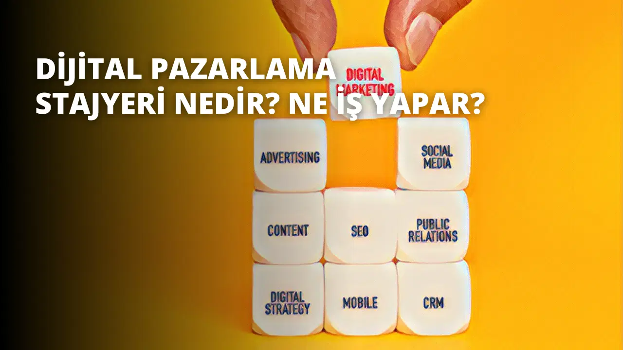 Dijital Pazarlama Stajyeri Nedir? Ne İş Yapar?