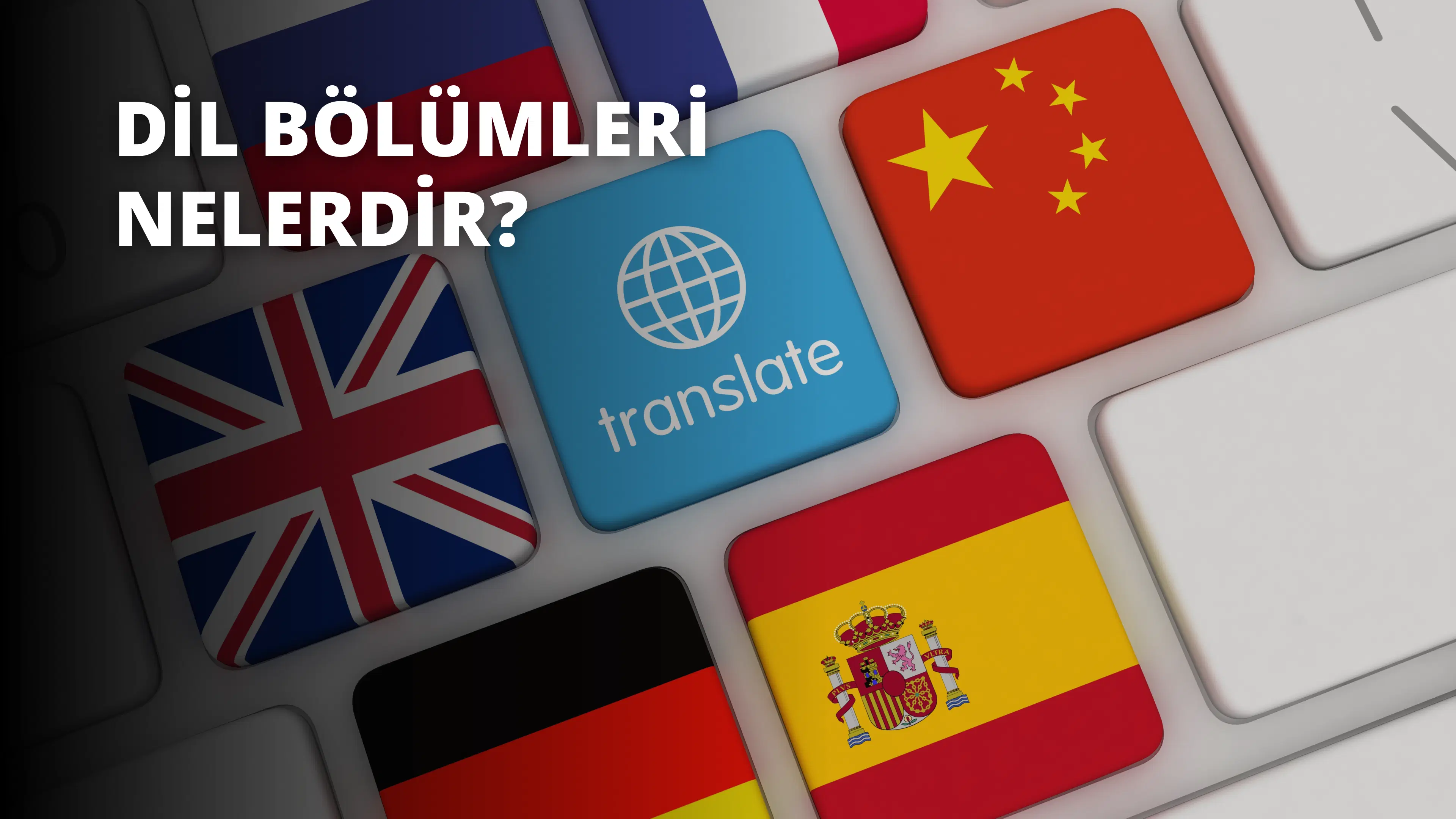 Dil Bölümleri Nelerdir?