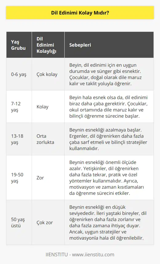 Altı yaşındaki bir çocuk çok rahat bir şekilde 7 dil öğrenebilir. Çünkü beyni o yaşta sünger gibidir ve dil edinimi için en iyi haldedir. Peki yetişkinler neden dil edinirken bu kadar zorlanır?