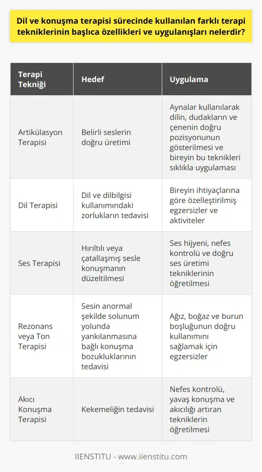 Dil ve konuşma terapi sürecinde kullanılan farklı terapi tekniklerinin başlıca özelliklerine ve uygulanışlarına bakacak olursak; bunlar arasında terapisi, dil terapisi, ses terapisi, rezonans veya ton terapisi ve akıcı konuşma terapisi bulunmaktadır. Her biri birtakım dil ve konuşma sorunlarını çözmek için özel olarak tasarlanmıştır. terapisi, bireyin belirli sesleri doğru bir şekilde üretebilmesini sağlar. Dil terapisi, dil ve dilbilgisi kullanımındaki zorlukları tedavi ederken, ses terapisi ise hırıltılı veya çatallaşmış sesle konuşan bireylere yardımcı olur. Rezonans veya ton terapisi, sesin anormal şekilde solunum yolunda yankılanmasına bağlı konuşma bozukluklarını tedavi eder. Akıcı konuşma terapisi ise kekemeliği tedavi eder. Her bir terapi tekniği; yaş, konuşma ve dil kapasitesi, öğrenme ve motivasyon durumuna bağlı olarak bireyin ihtiyaçlarına göre uygulanır. Örneğin, bir birey bir sesi veya kelimeleri doğru şekilde üretmekte zorluk yaşıyorsa, terapisi uygulanabilir. Bu terapide terapist, dilin, dudakların ve çenenin doğru pozisyonunu göstermek için genellikle aynalar kullanır. Birey daha sonra bu teknikleri sıklıkla uygULAR ve terapistin geri bildirim ve rehberliği ile doğru konuşmayı öğrenir. Bu tür eğitim seanslarının süresi ve sıklığı, bireyin öğrenme hızına ve terapiyi uygulamanın gerekliliğine bağlıdır. Sonuç olarak, dil ve konuşma terapisinin amacı, dil ve konuşma bozukluklarına sahip bireylerin, kendilerini daha iyi ifade etmelerini sağlamaktır. Bu, sosyal etkileşimlerini ve genel yaşam kalitelerini önemli ölçüde artırabilir. Bu yüzden, dil ve konuşma terapileri son derece önemli ve değerlidir.