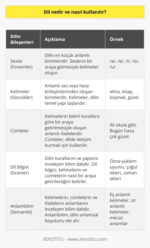 Dil, bir toplumun üyeleri arasında iletişim kurmak için kullandıkları konuşma ya da yazma aracıdır. Dil konuşma veya yazma olarak iki şekilde ifade edilebilir. Konuşma, sesli olarak ifade edilen kelimeler, cümleler ve kavramların bir araya getirilmesiyle oluşur. Yazma ise, simgelerin, kelimelerin ve cümlelerin bir araya getirilmesiyle oluşur. Dil, kelimelerin, cümlelerin ve kavramların bir araya getirilmesiyle oluşan kurallarla da ifade edilebilir. Dil, iletişimin en önemli aracıdır ve öğrenilmesi, anlaşılması ve kullanılması gereken önemli bir beceridir.