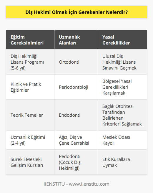 Diş hekimi olmak için öncelikle lisans mezunu olmak gerekmektedir. Lisans eğitiminin ardından uzmanlık eğitimi almak veya    gerekebilir. Diş hekimliği lisans programları klinik ve pratik eğitimler ile birlikte teorik temelleri de kapsar. Daha sonra çalışma alanına göre özel eğitim ve uzmanlık sertifikası alınmaktadır. Ayrıca diş hekimi olmak için, ulusal ve bölgesel yasal gereklilikleri karşılamak ve sağlık otoritesinin belirlediği lisans sınavını geçmek gerekmektedir.