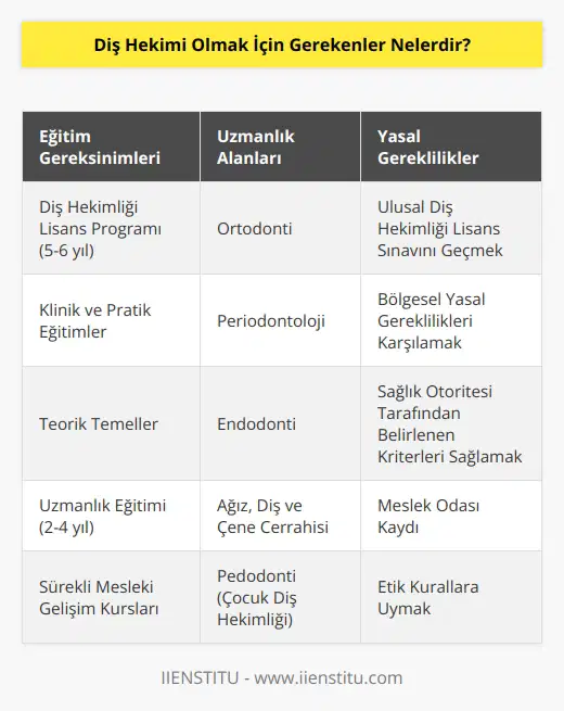 Diş hekimi olmak için öncelikle lisans mezunu olmak gerekmektedir. Lisans eğitiminin ardından uzmanlık eğitimi almak veya    gerekebilir. Diş hekimliği lisans programları klinik ve pratik eğitimler ile birlikte teorik temelleri de kapsar. Daha sonra çalışma alanına göre özel eğitim ve uzmanlık sertifikası alınmaktadır. Ayrıca diş hekimi olmak için, ulusal ve bölgesel yasal gereklilikleri karşılamak ve sağlık otoritesinin belirlediği lisans sınavını geçmek gerekmektedir.