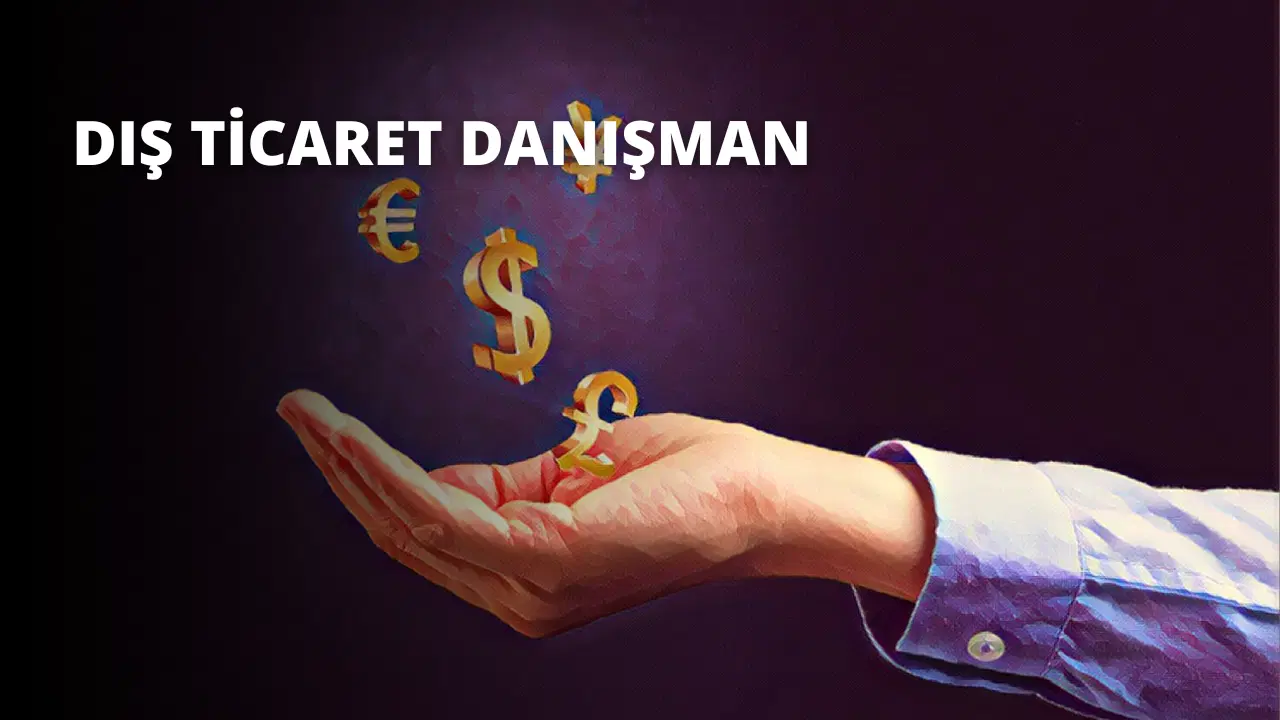 Dış Ticaret Danışmanı