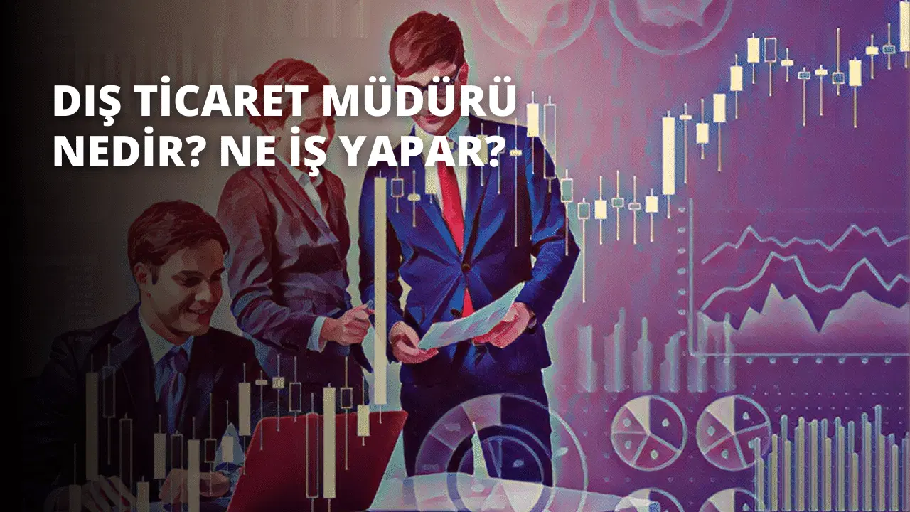 Dış Ticaret Müdürü Nedir? Ne İş Yapar?