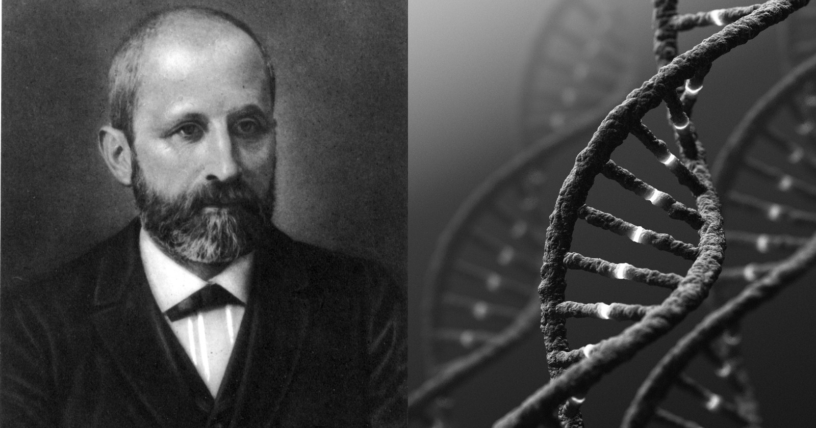 DNA Nedir? DNA Yapısı ve Özellikleri Nelerdir?