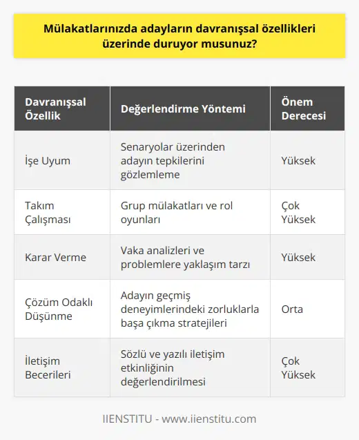 Evet, mülakatlarımızda adayların davranışsal özellikleri üzerinde duruyoruz. Mülakat sürecinde, adayların işe uyum, takım çalışması, karar verme, çözüm odaklı düşünme ve iletişim becerileri gibi davranışsal özelliklerini değerlendirmek için çeşitli sorgulama teknikleri kullanıyoruz.